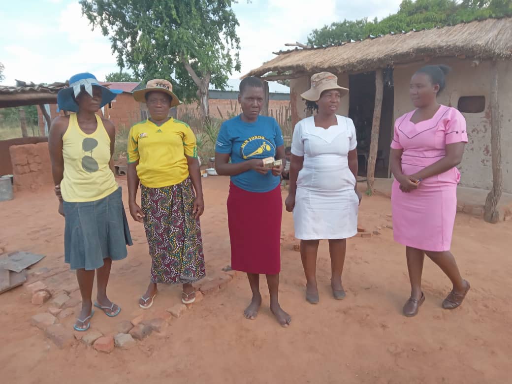 Volunteer Support Programs